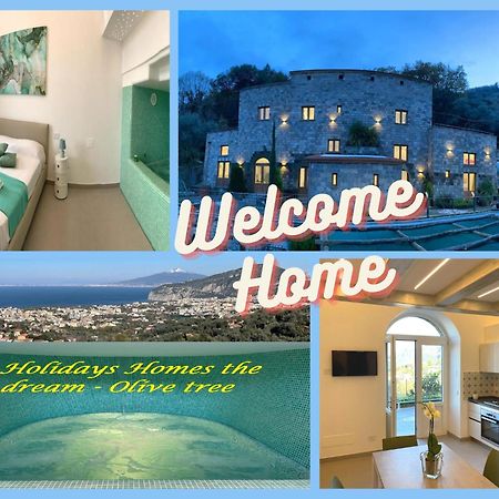 Holidays Homes The Dream Sant'Agnello Exterior foto